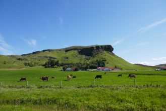 Island - grüne Landschaft im Süden