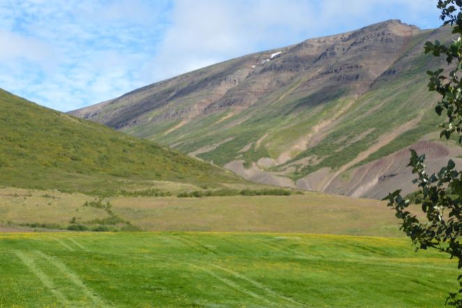 Island - Akureyri - Flusstal Richtung Grenivik-5