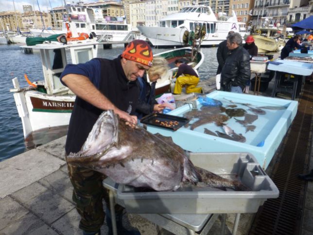 Marseille - Fischmarkt
